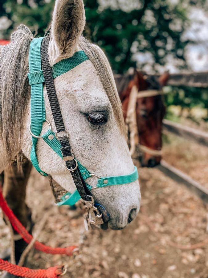 Hostel Glamping Rustiko Salento Zewnętrze zdjęcie